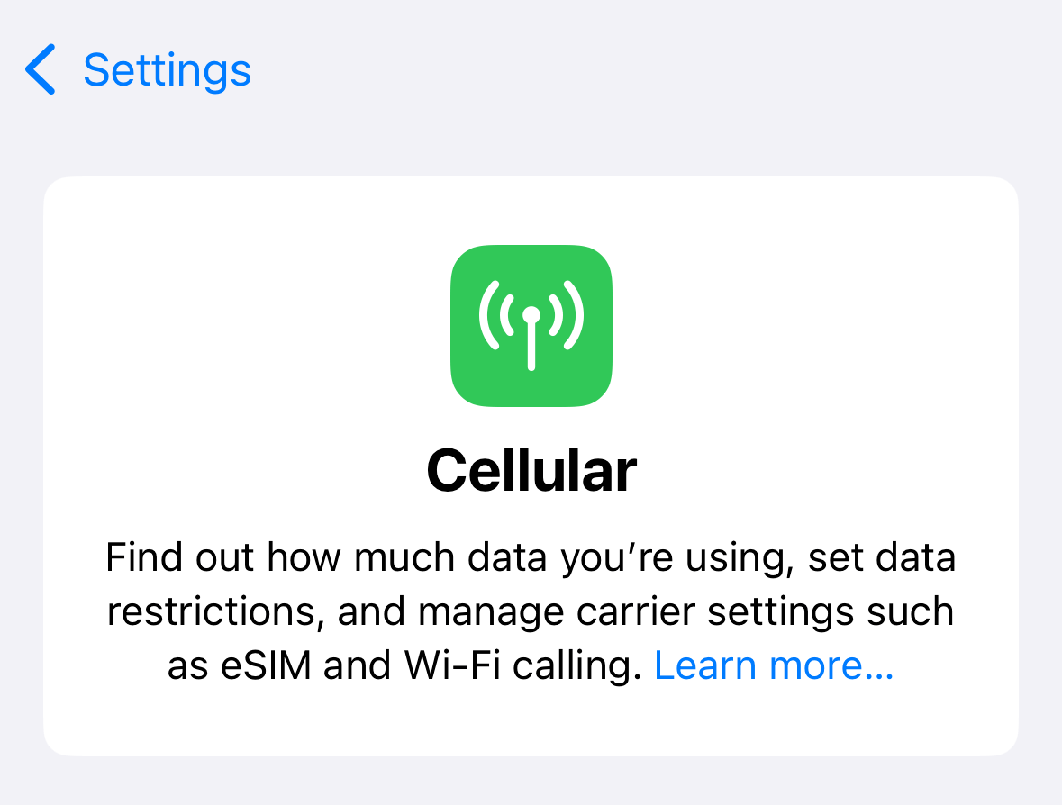 The iOS 18 Settings app’s Cellular settings page, showing an informational card with the text “Find out how much data you’re using, set data restrictions, and manage carrier settings such as eSIM and Wi-Fi calling.”